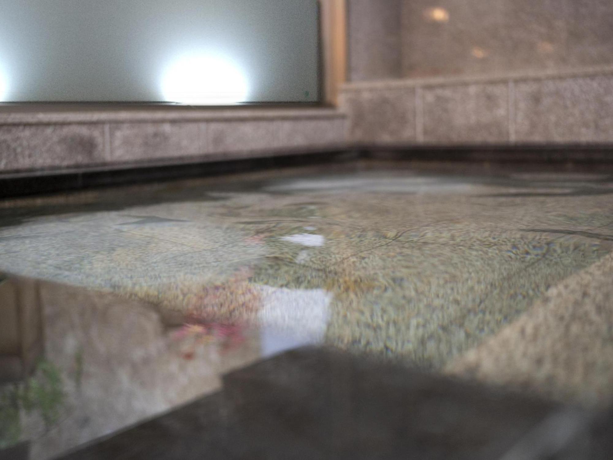 Hotel New Gaea Iizuka Zewnętrze zdjęcie
